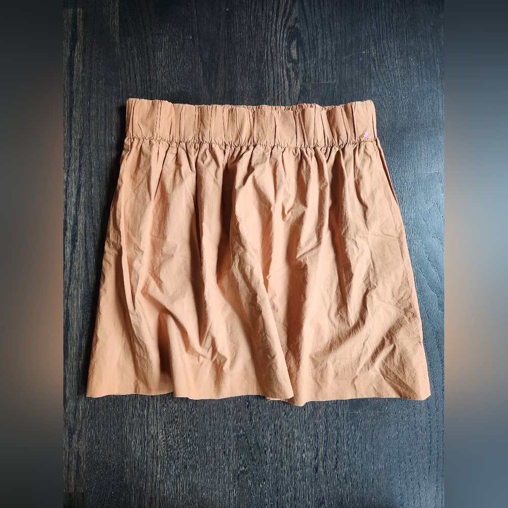 J. Crew Skirt
